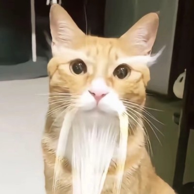 silk