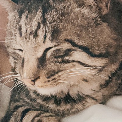 小白兔不吃晚饭hb14