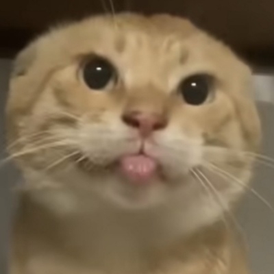 林上雨