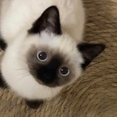 清風