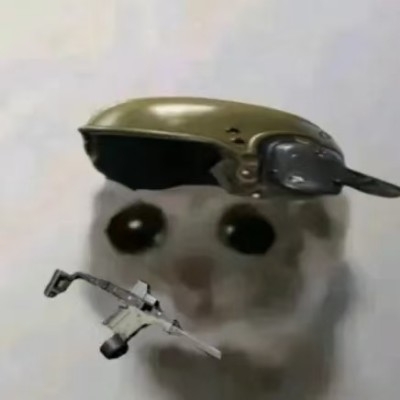 鱼骨头