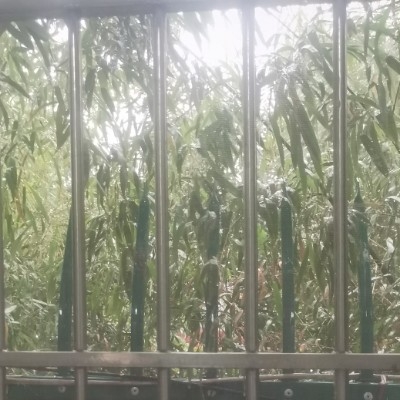 心水