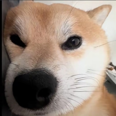 消愁