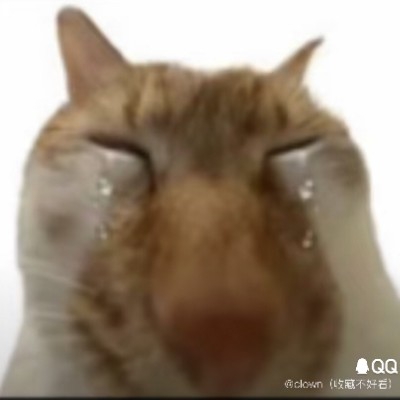 鸢与
