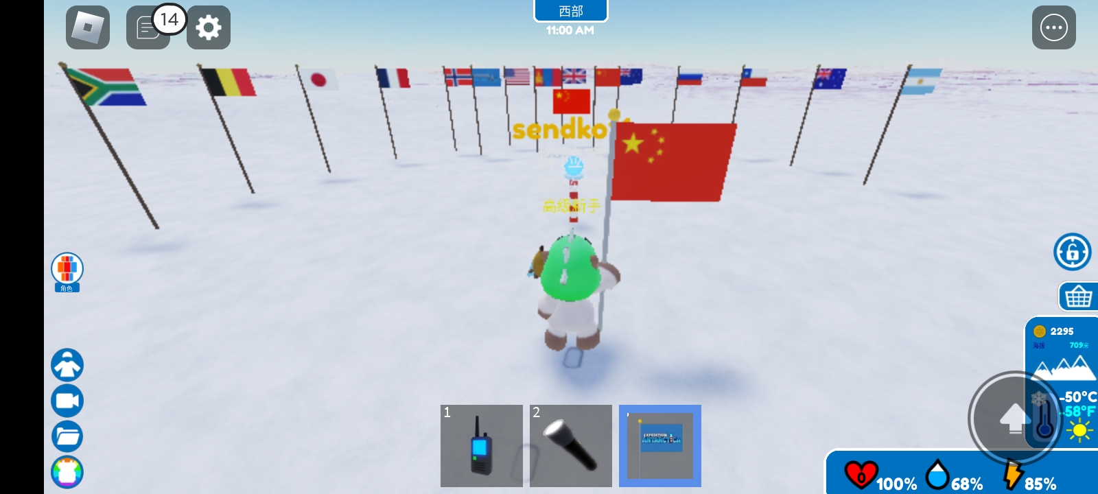 南极探险插上了我的第一面中国红旗_图2