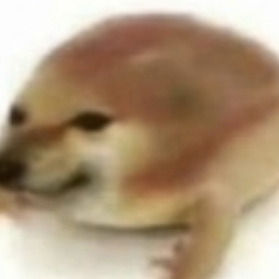 区区败犬