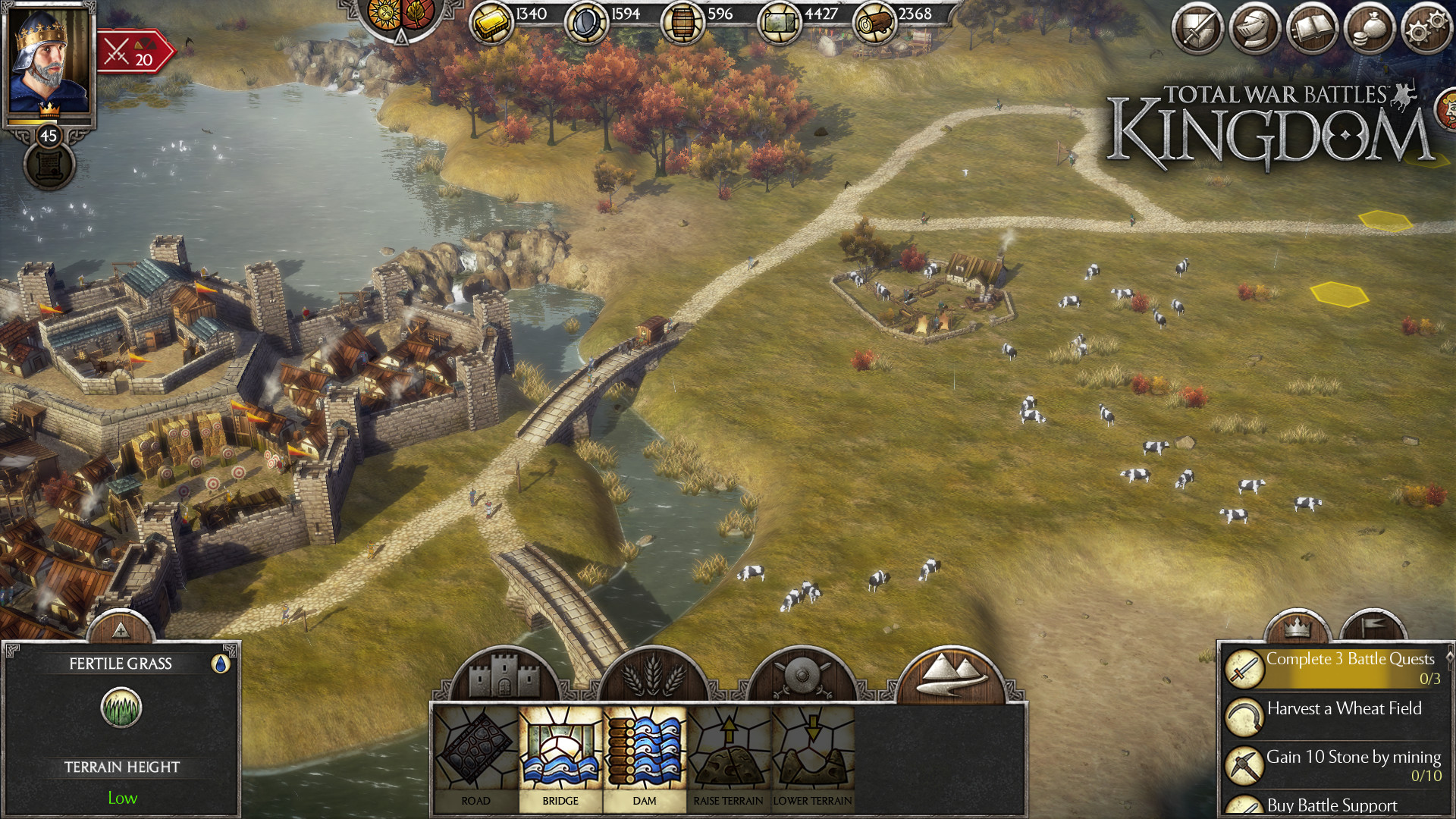 Total War Battles: KINGDOM_截图_16