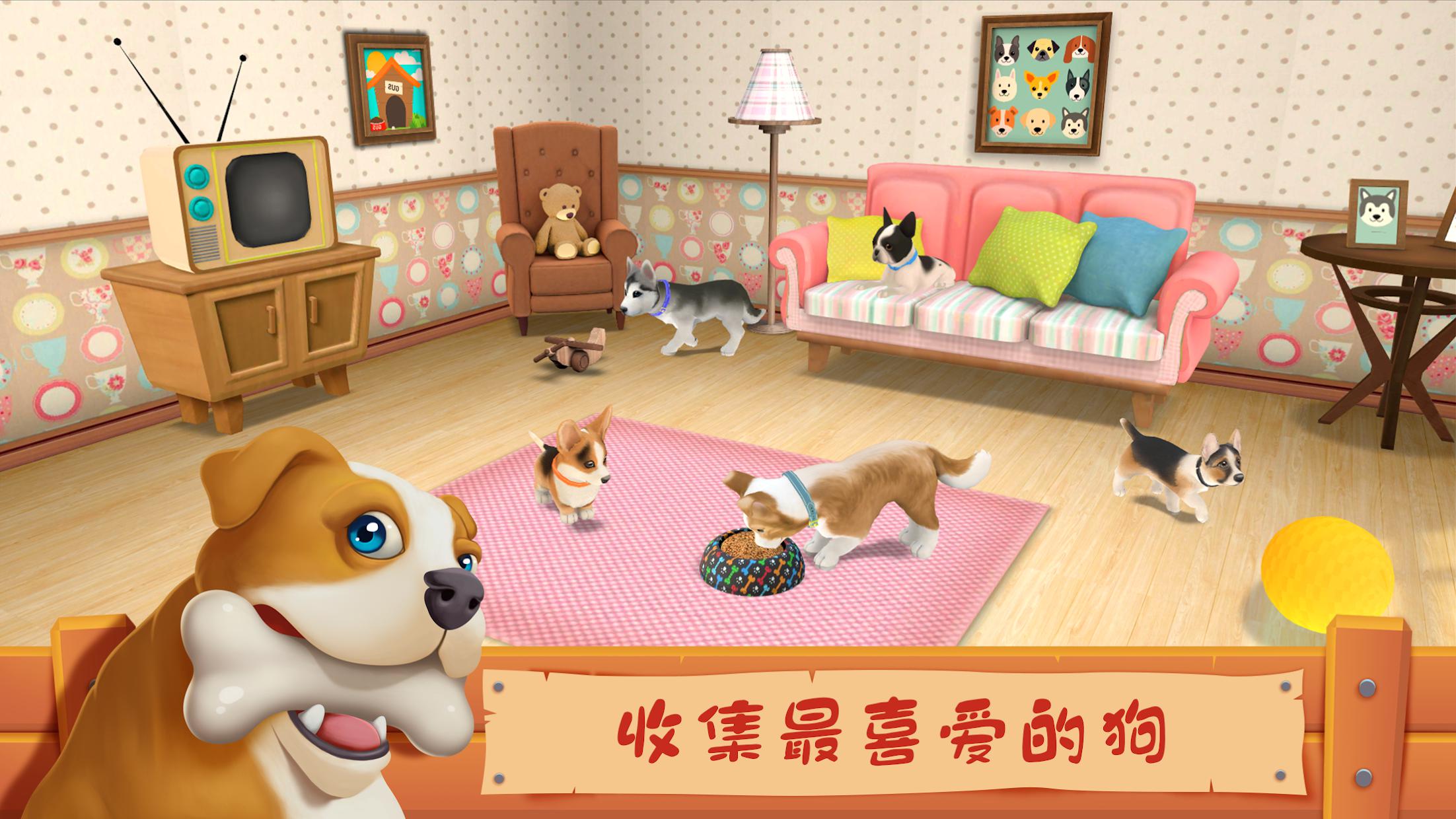 Dog Town：宠物店游戏、照顾狗并与狗一起玩