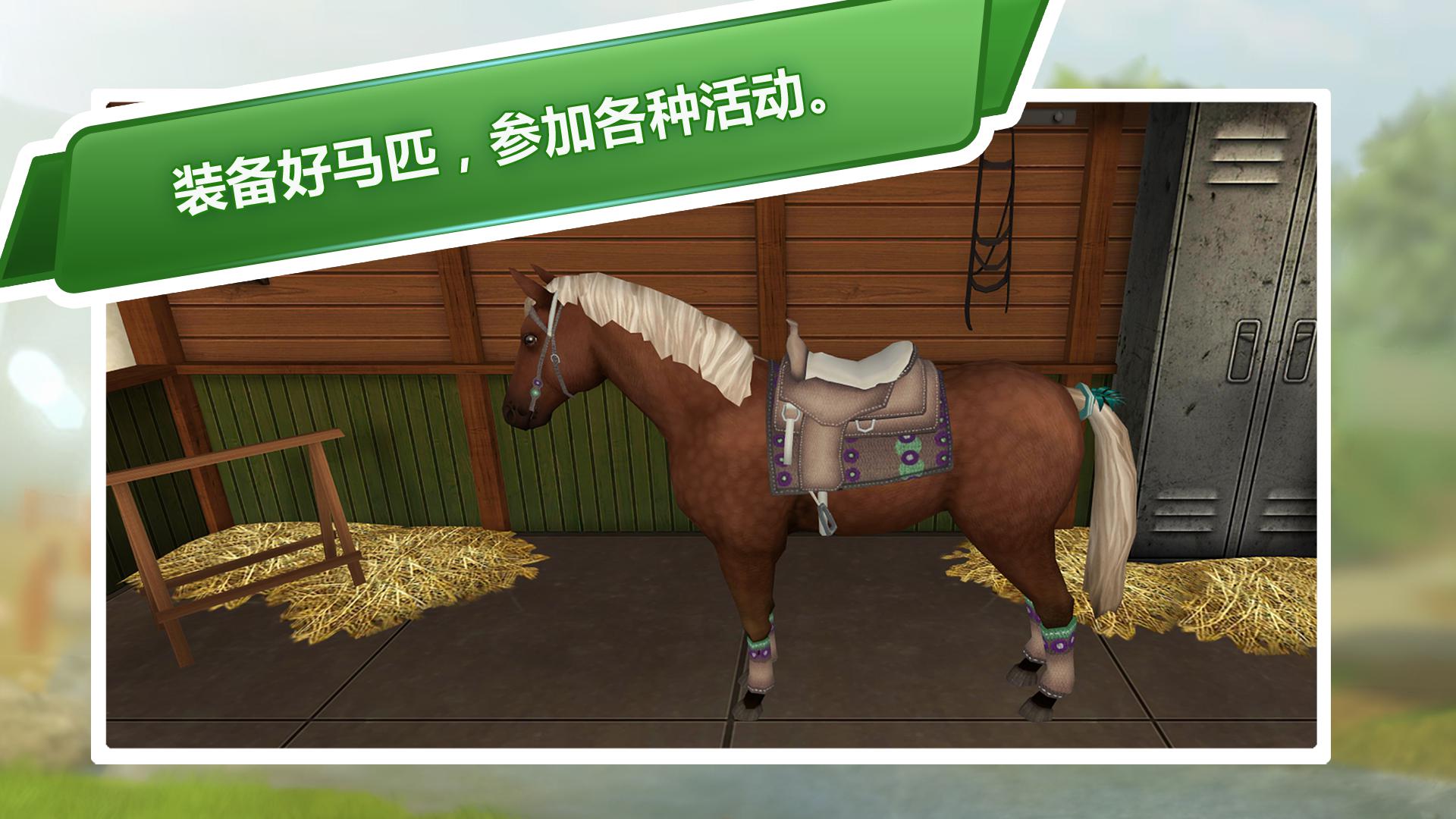 马的世界 - 高级套餐——有马儿作伴的游戏_游戏简介_图3