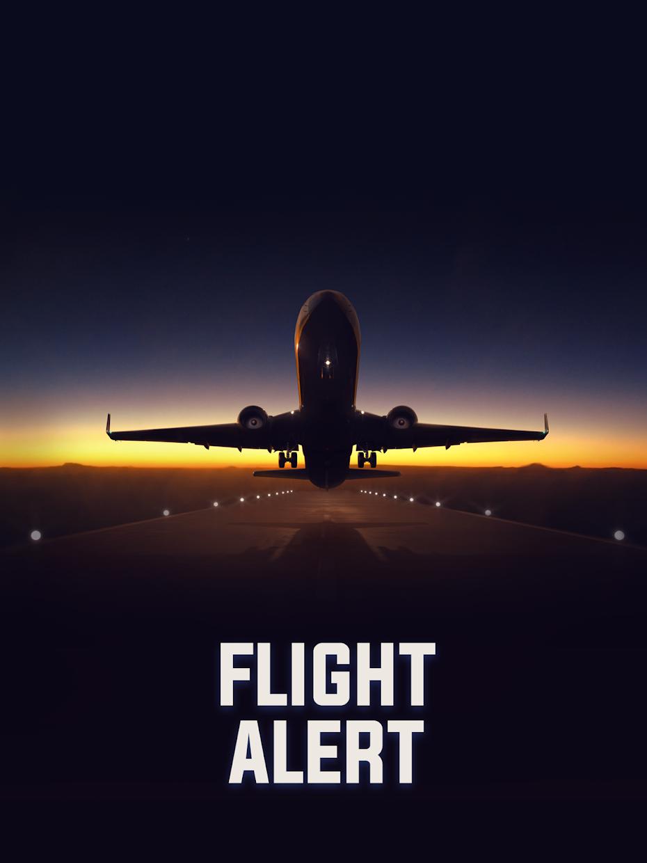 Flight Alert Simulator 3D Free_截图_5