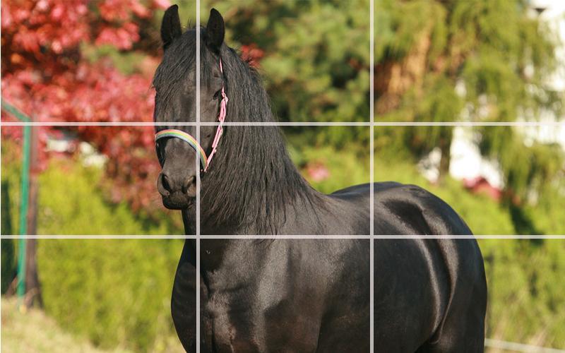 Puzzle - Beautiful Horses_截图_5