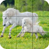 Puzzle - Beautiful Horses