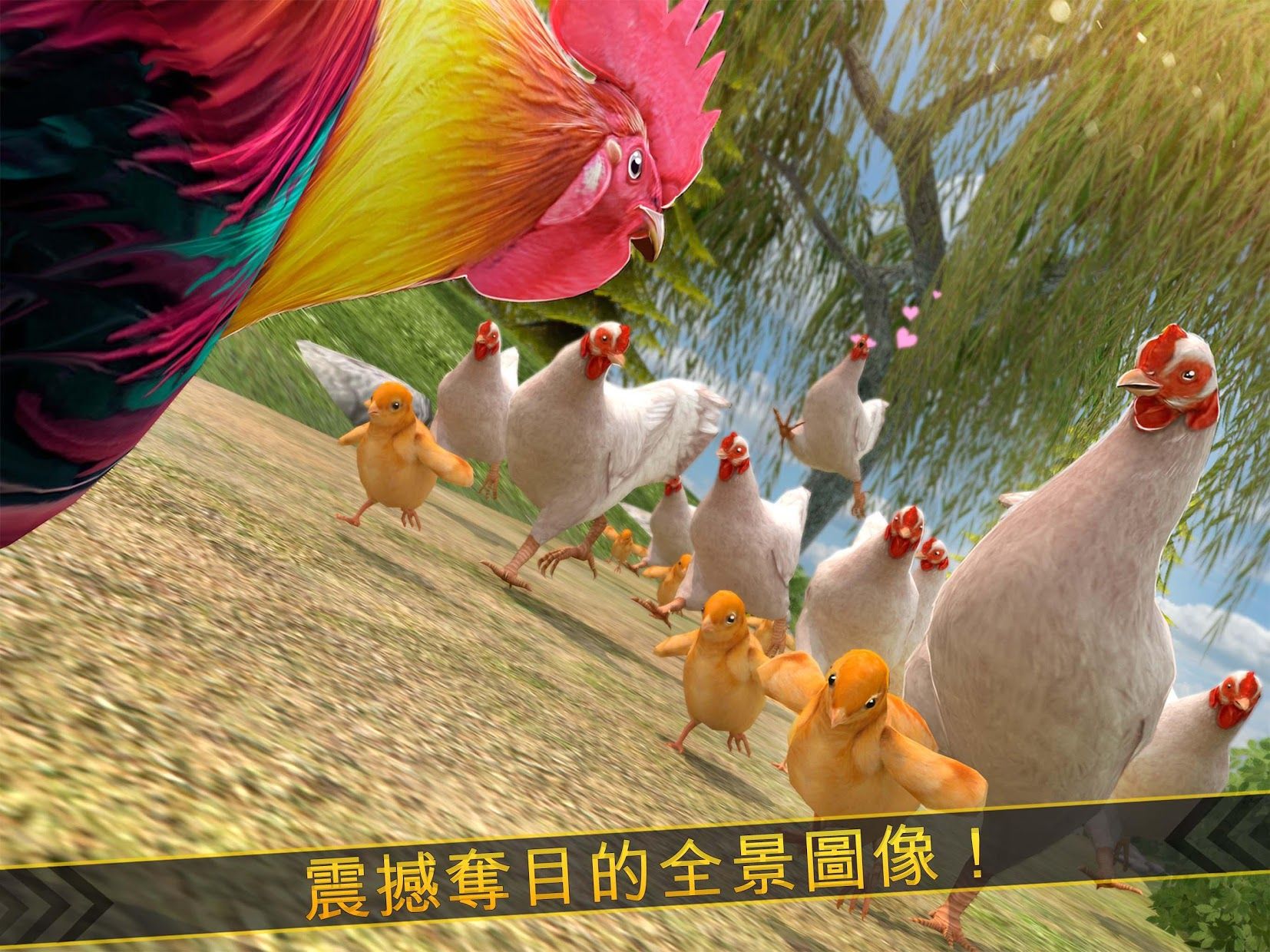 鸡场 - 公鸡 赛跑 - Rooster Chicks_截图_5