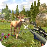 Deer Hunting Kill Shot