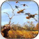 野生 鸭 猎人 3D -  真实 野生 狩猎 游戏