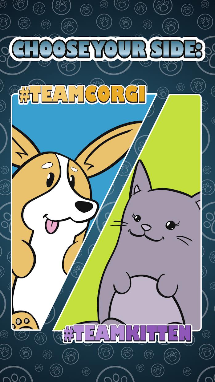 Corgis vs. Kittens