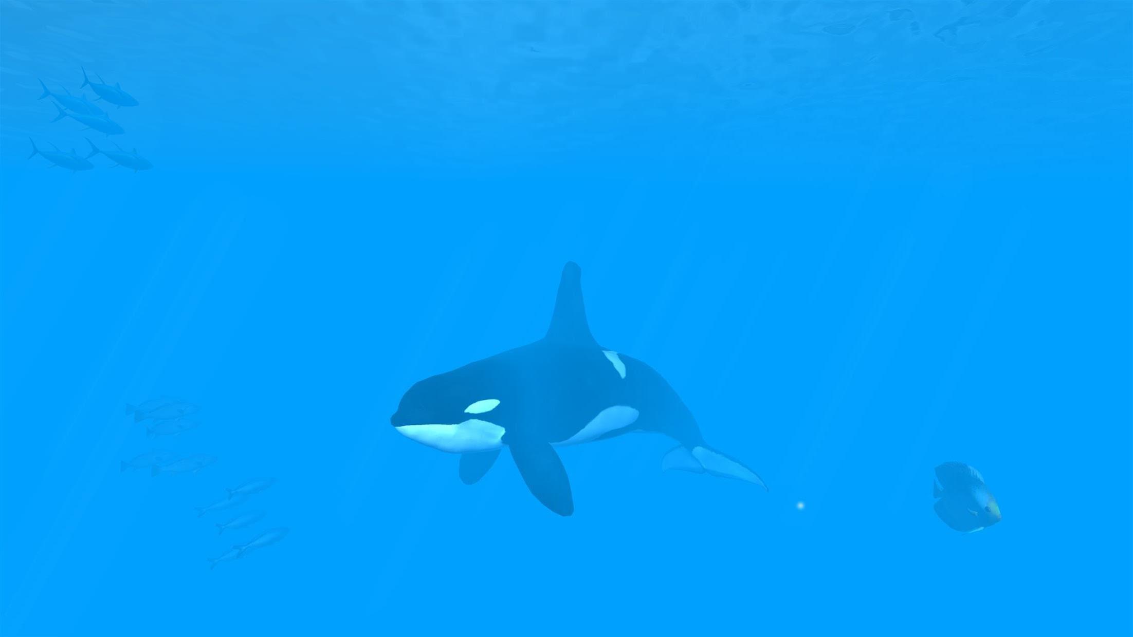 VR Ocean Aquarium 3D_截图_2