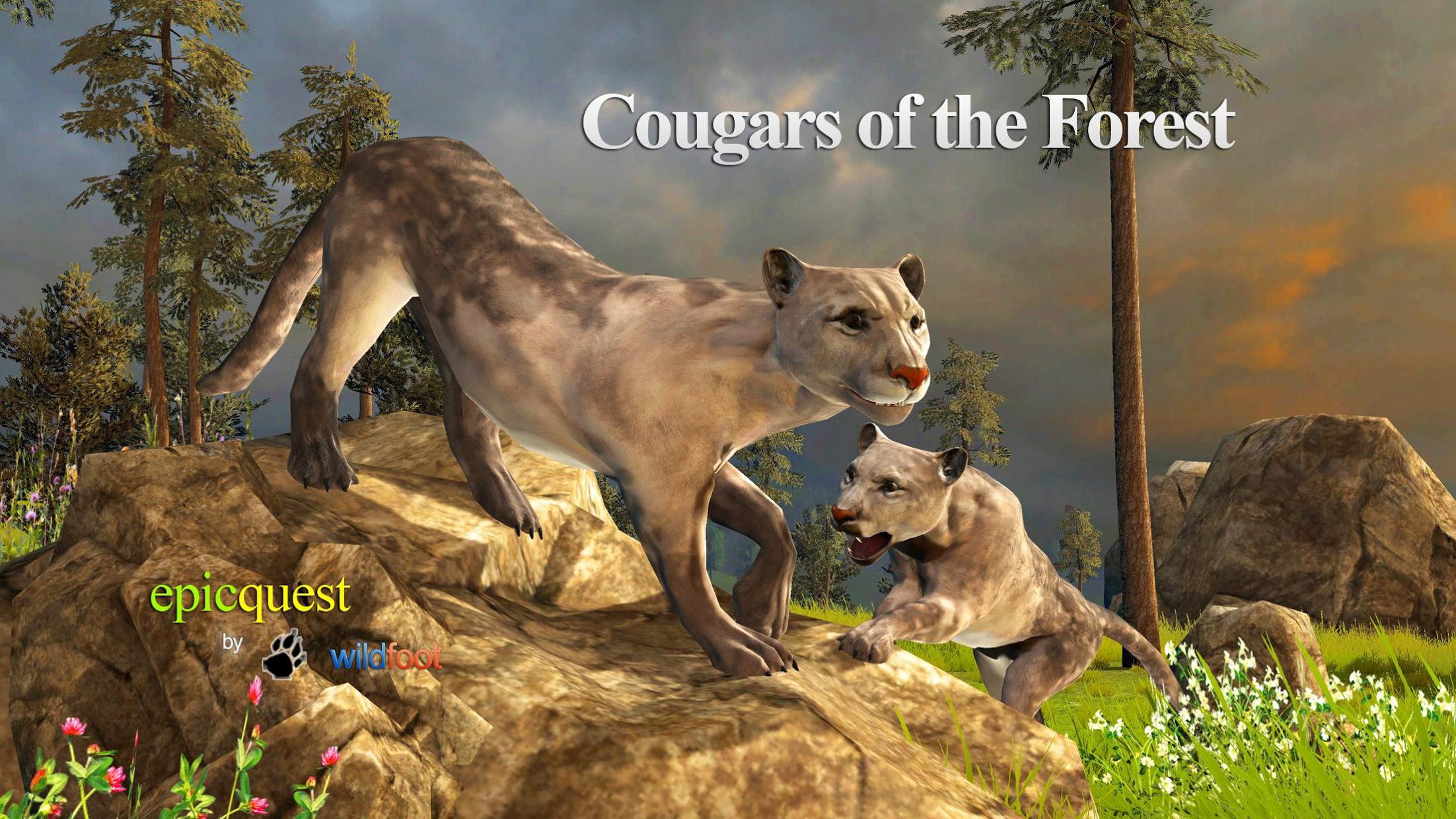 Cougars of the Forest