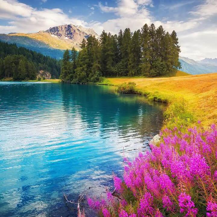 Landscape Puzzle Jigsaw