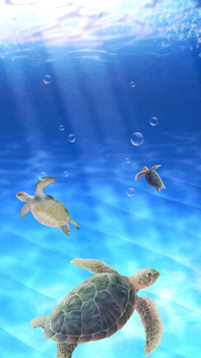 Aquarium Sea Turtle simulation_截图_2