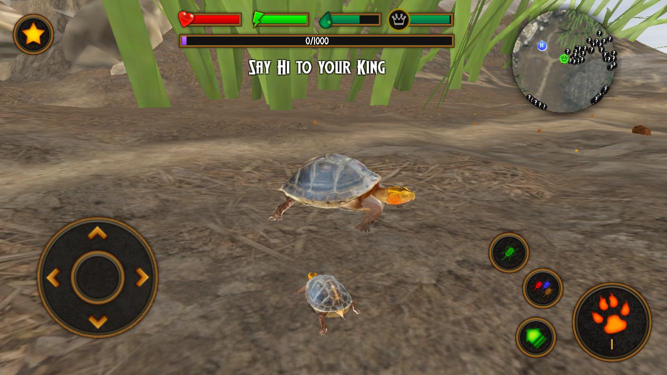 Box Turtle Simulator手游下载_Box Turtle Simulator官网|怎么玩 -Ourplay
