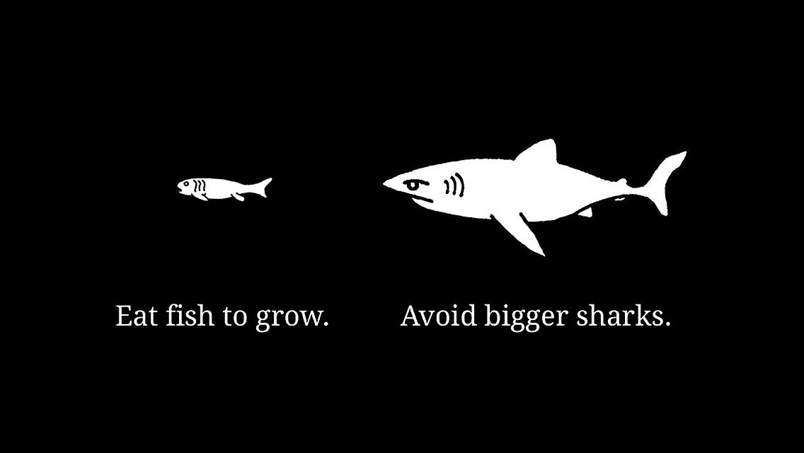 Grow Shark_截图_5