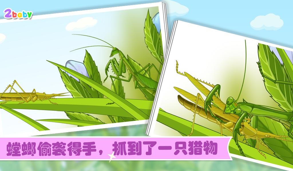 昆虫世界-螳螂 有趣的儿童互动绘本故事书_游戏简介_图2
