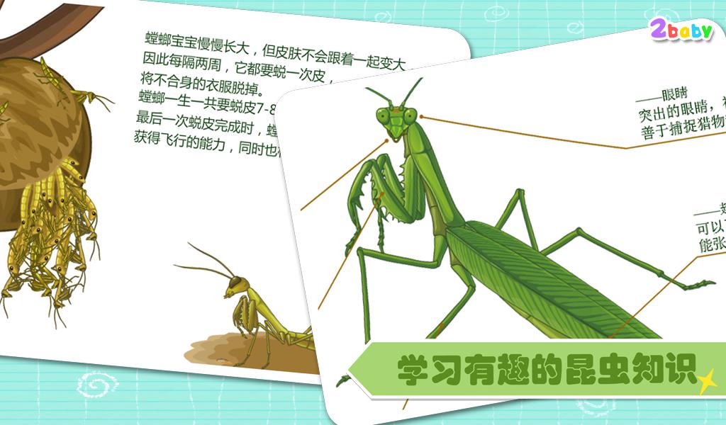 昆虫世界-螳螂 有趣的儿童互动绘本故事书_截图_4