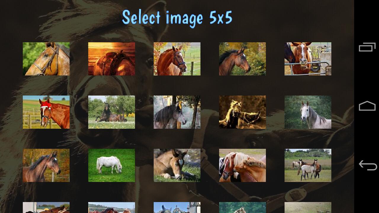 Tile Puzzles · Horses