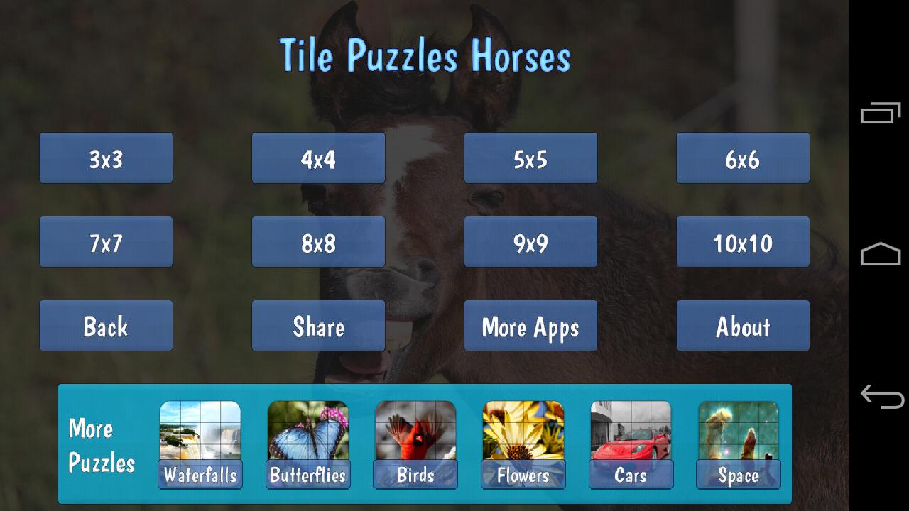 Tile Puzzles · Horses_截图_4