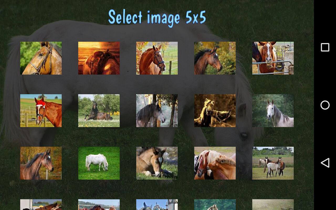 Tile Puzzles · Horses_截图_5