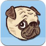 Pug Run!