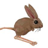 Tales of Hop