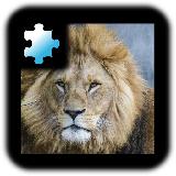 拼图游戏: 狮子