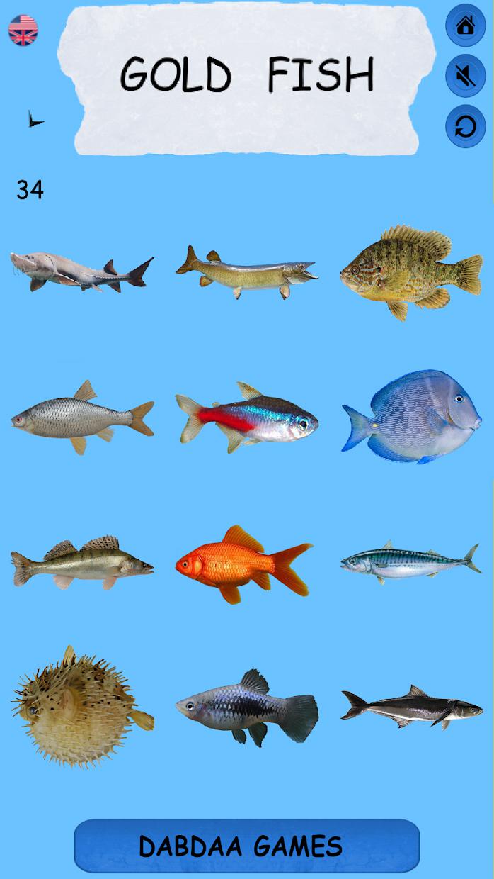 Learning Name Of Fishes_截图_2