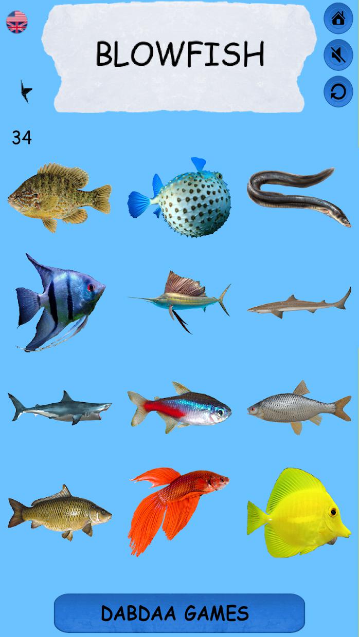 Learning Name Of Fishes_截图_3