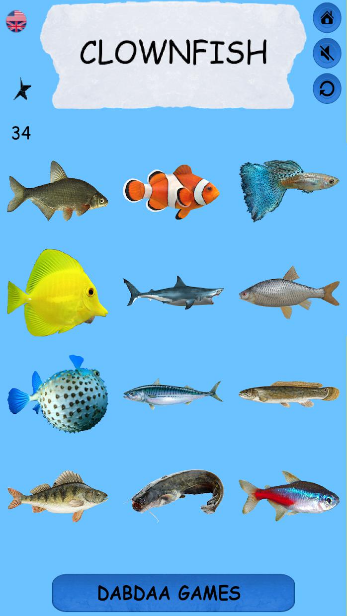 Learning Name Of Fishes_截图_4