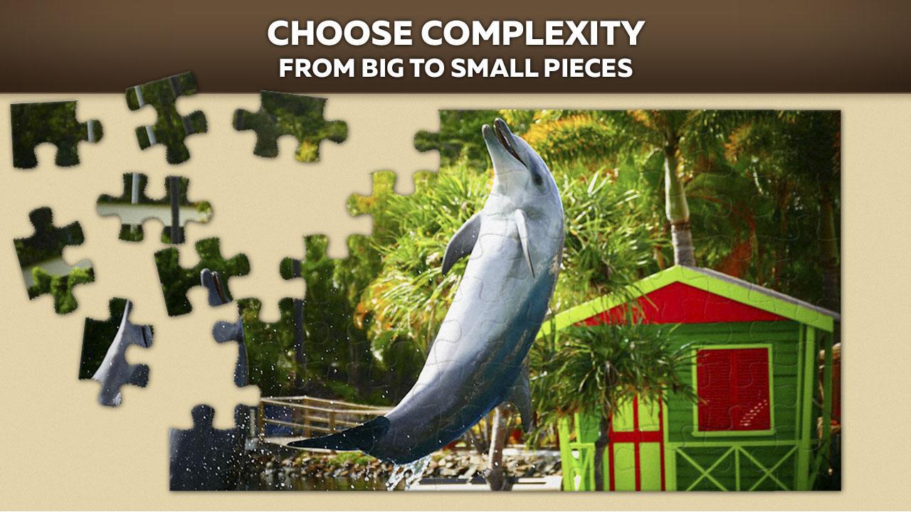 Dolphin puzzles