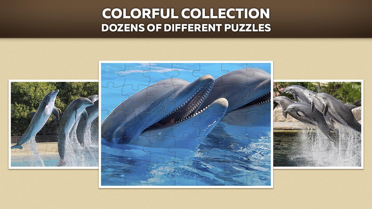 Dolphin puzzles_截图_2