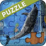 Dolphin puzzles