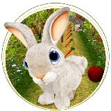 Forest Bunny Run：兔子游戏