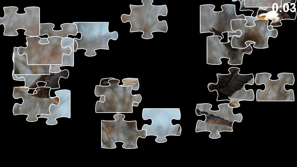 Bird Jigsaw Puzzles_截图_2