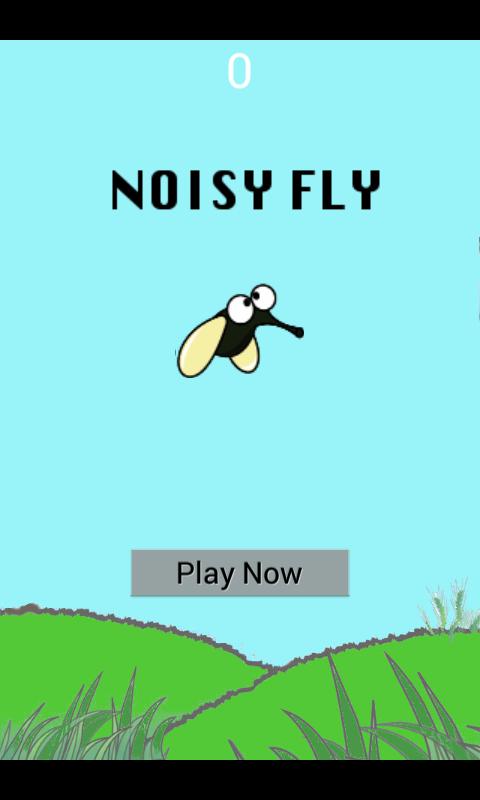 Noisy Fly