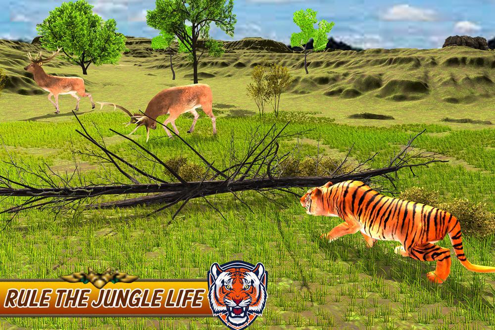 Wild Tiger Simulator Animal Hunt_截图_3