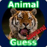 Animal Guess Complete