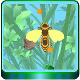 Tappy Bee Journey