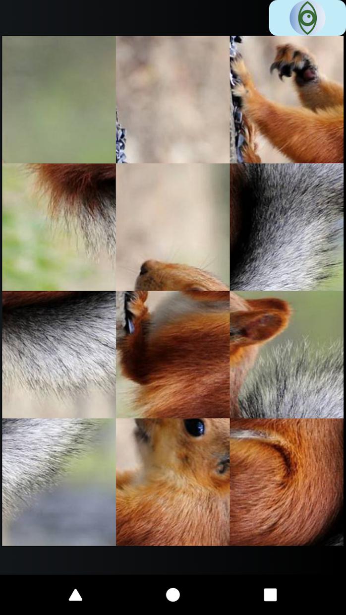 Squirrel Puzzles._游戏简介_图3