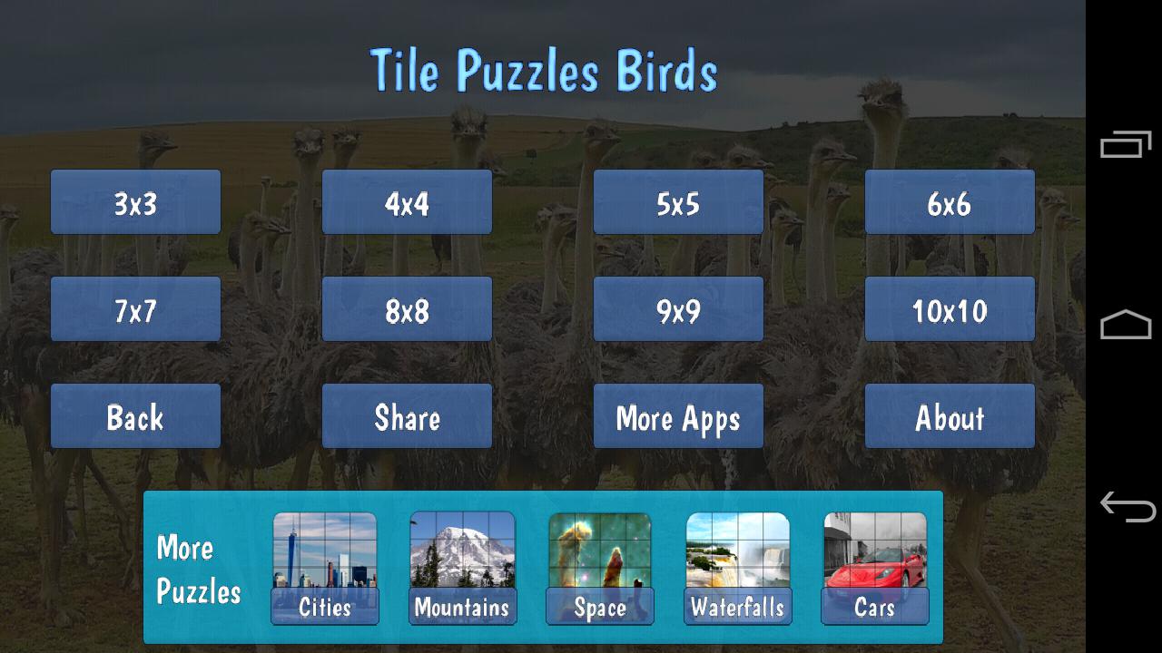 Tile Puzzles · Birds_游戏简介_图4