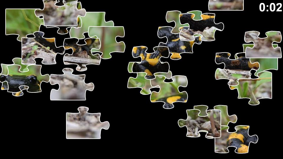 Salamander Jigsaw Puzzles_截图_2