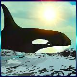 Whale Simulator 3D Free